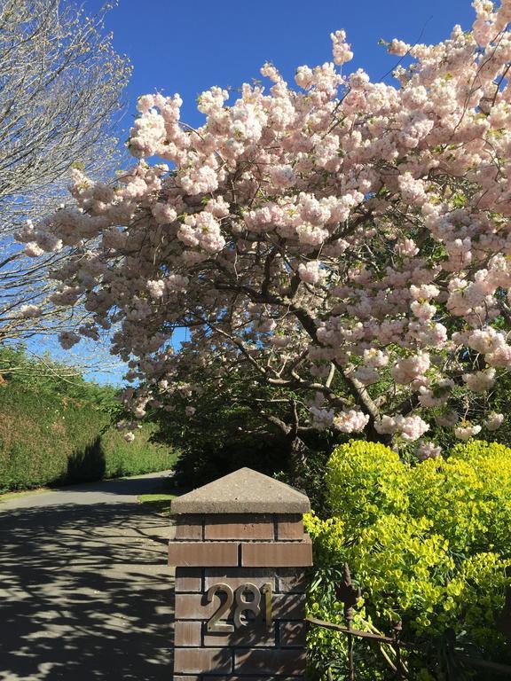 Hotel Rhododendron Garden Christchurch Exteriér fotografie