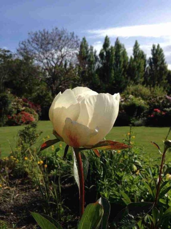 Hotel Rhododendron Garden Christchurch Pokoj fotografie