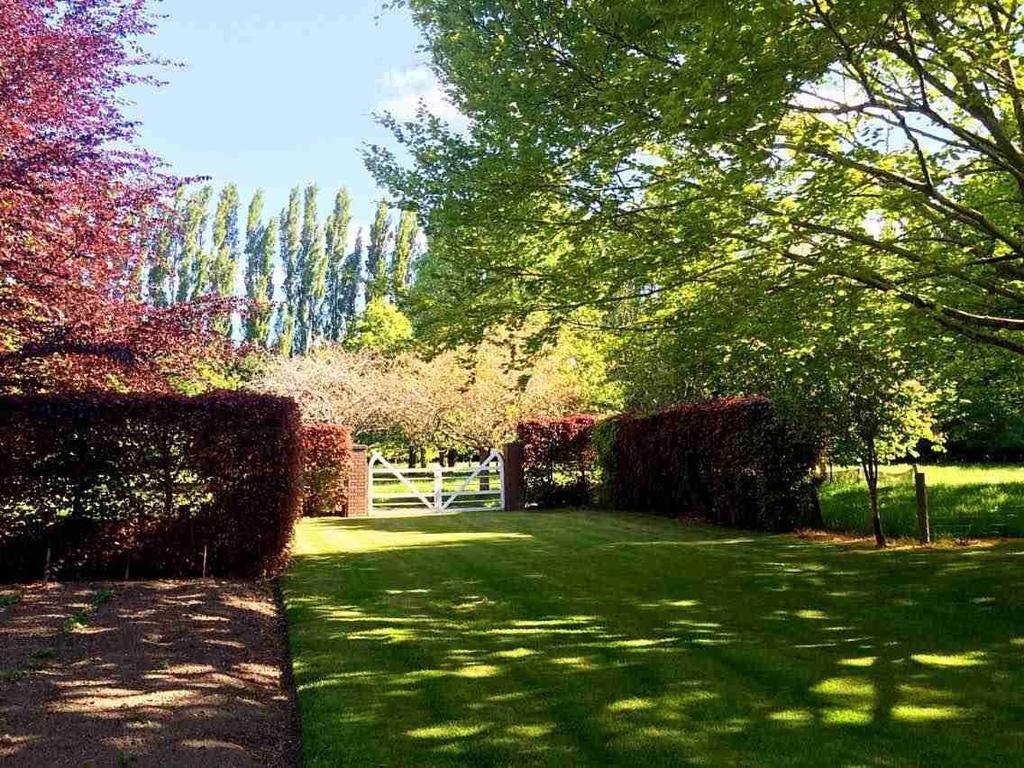 Hotel Rhododendron Garden Christchurch Pokoj fotografie